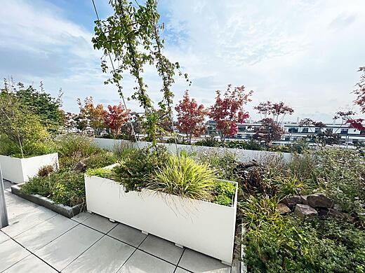 Biotope City Dach Begruenung