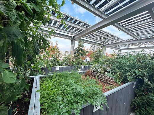 Biotope City Urban Gardening