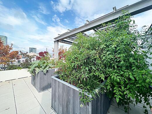 Biotope City Urban Gardening