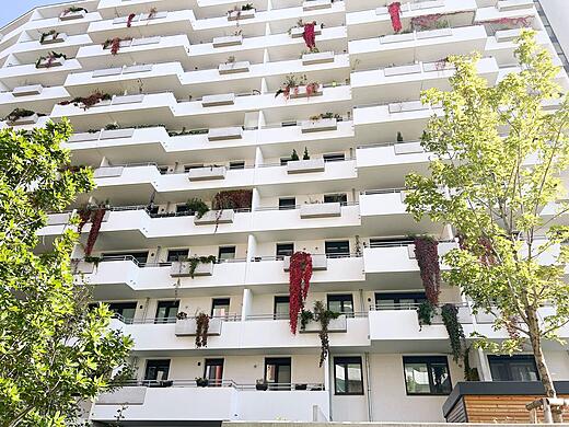 Biotope City Fassadenbegruenung