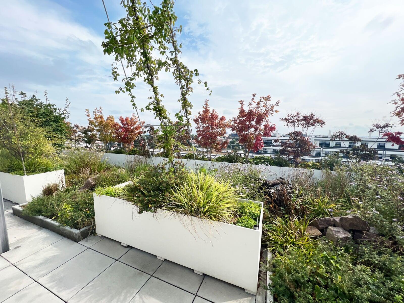 Biotope City Dach Begruenung