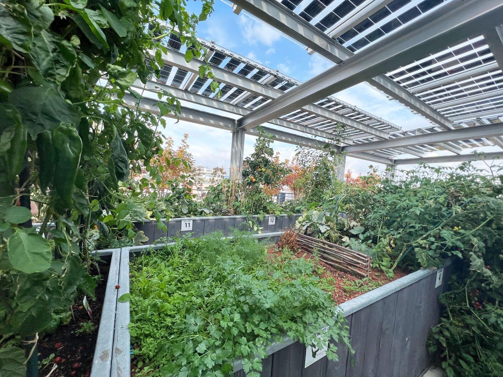 Biotope City Urban Gardening