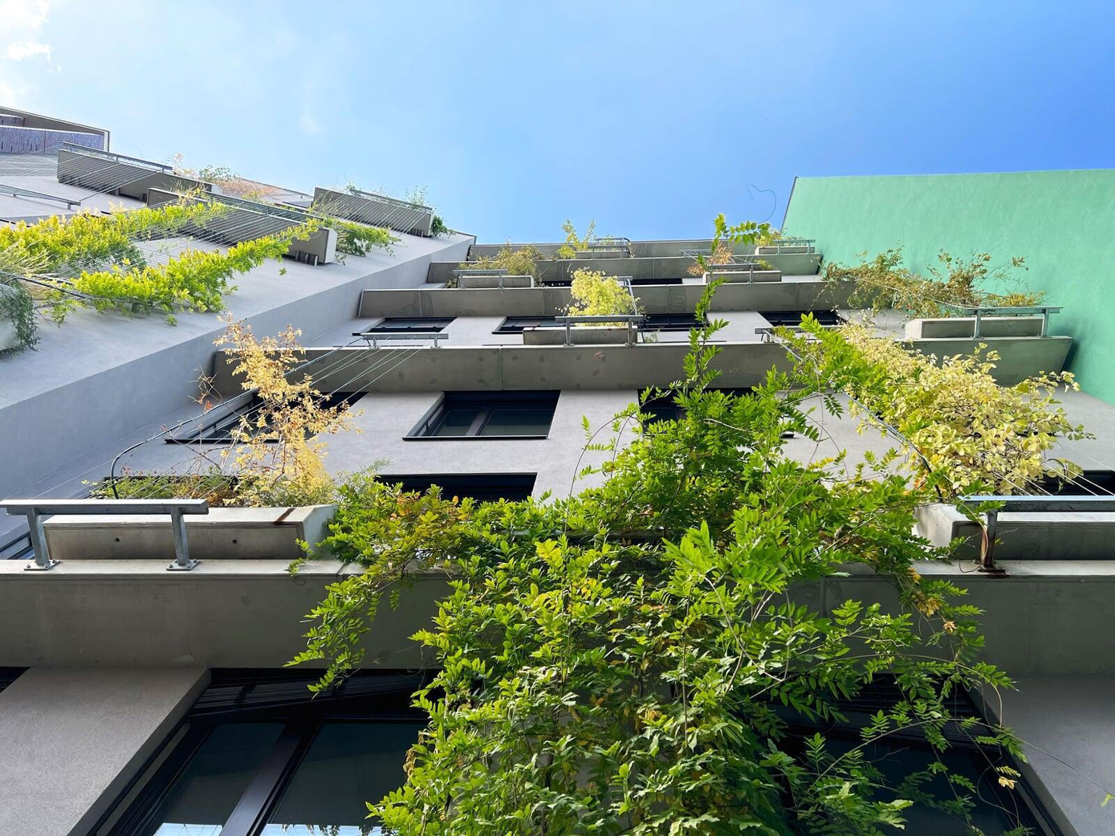 Biotope City Fassadenbegruenung