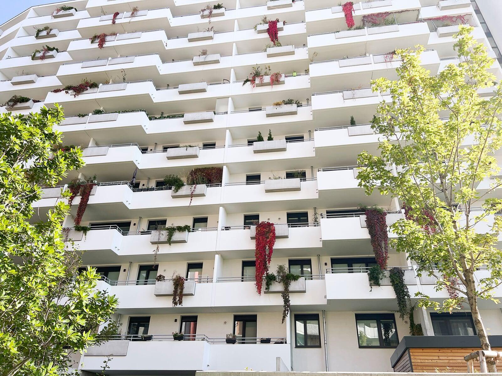 Biotope City Fassadenbegruenung