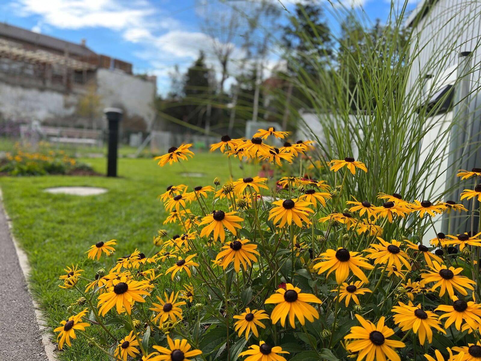 Fabriksgasse - Innenhof