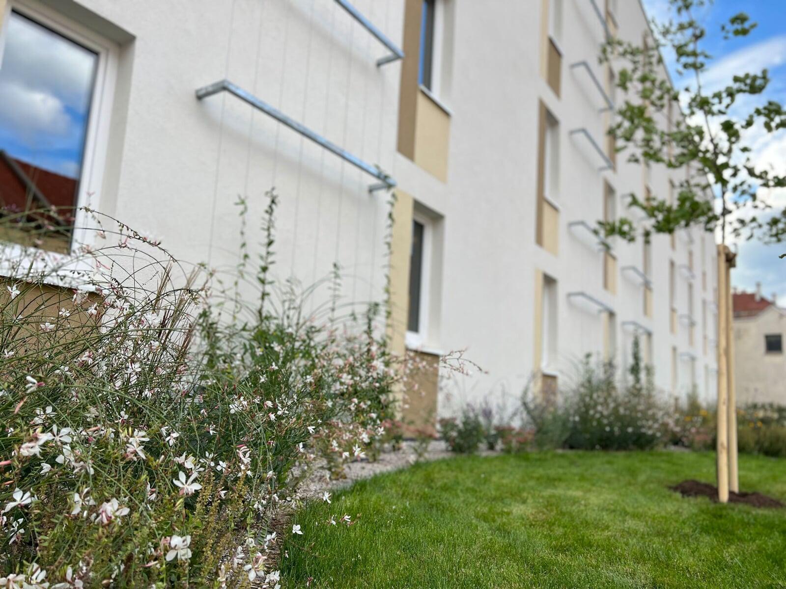 Fabriksgasse - Fassadenbegruenung