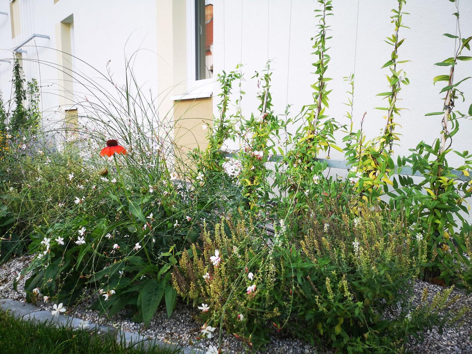 Fabriksgasse - Staudenbepflanzung