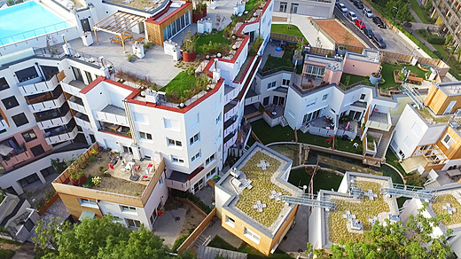FIC Biotope