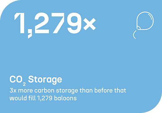 CO2 Speicherung