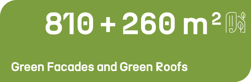 Dach und Fassadenbegruenung