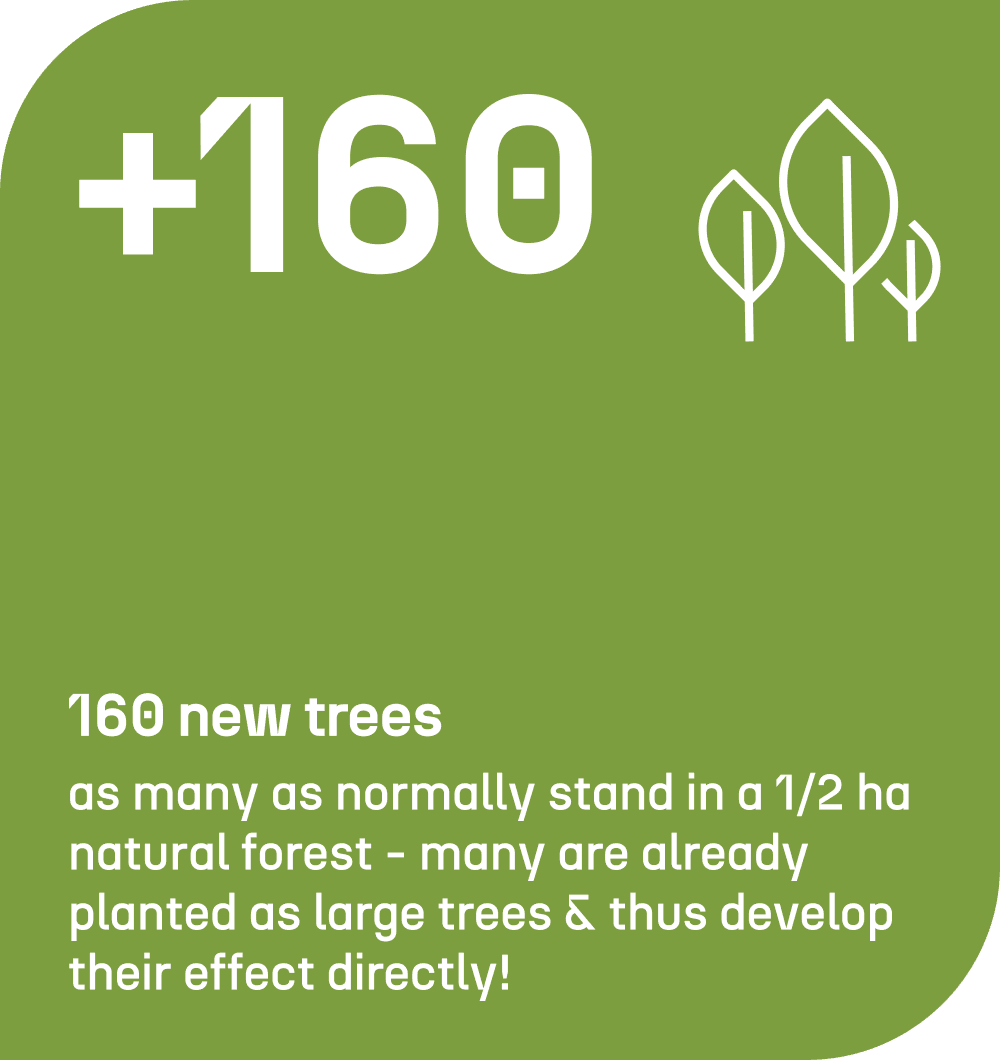 160 neue Baeume