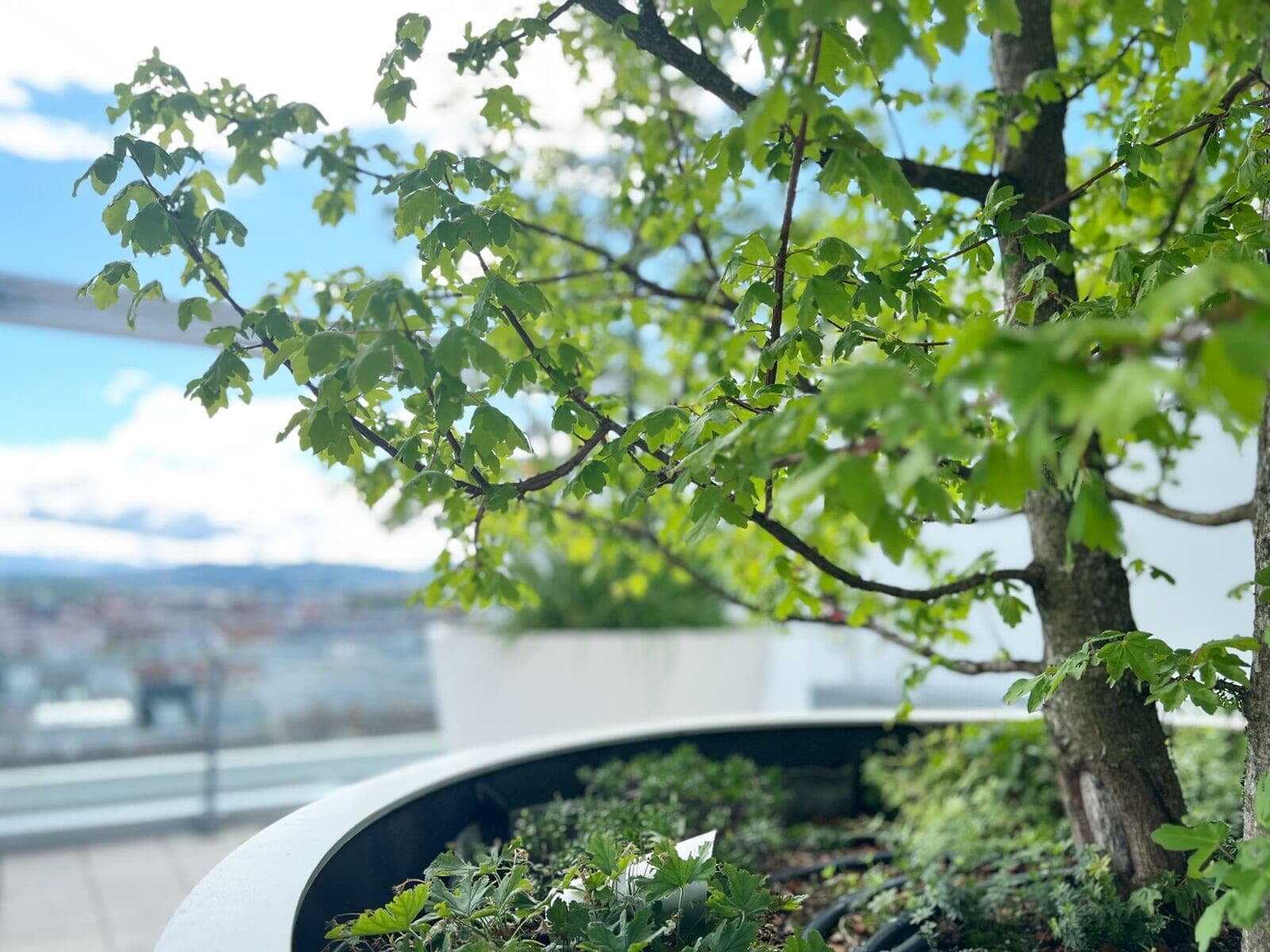 IKEA Westbahnhof Detail