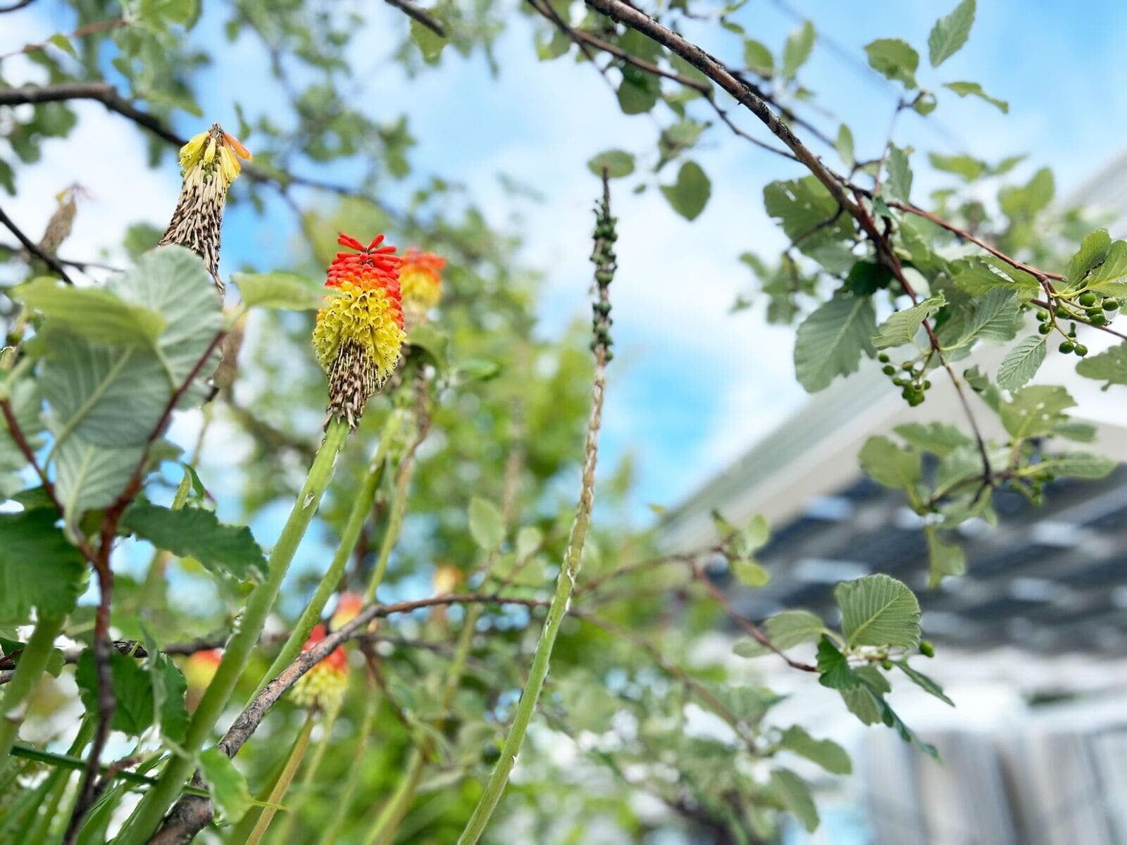 IKEA Westbahnhof Detail