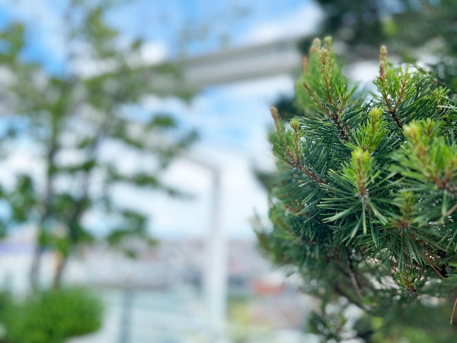 IKEA Westbahnhof Detail