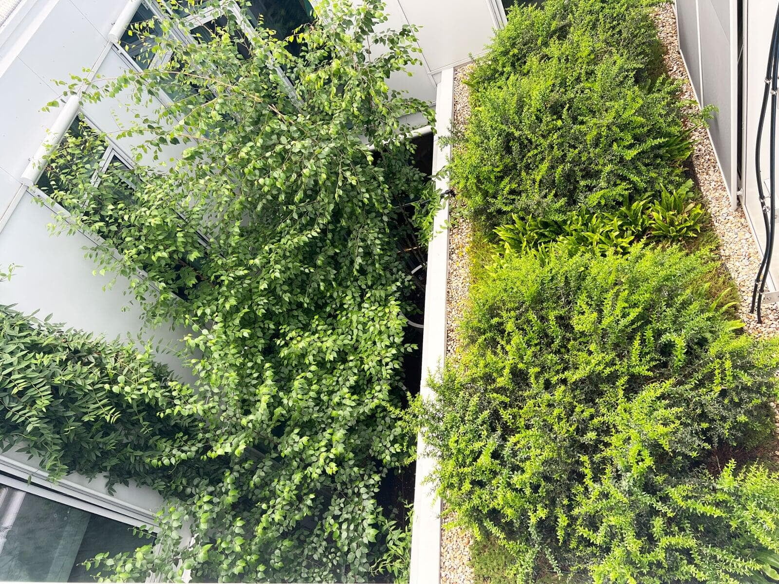 IKEA Westbahnhof Innenhof