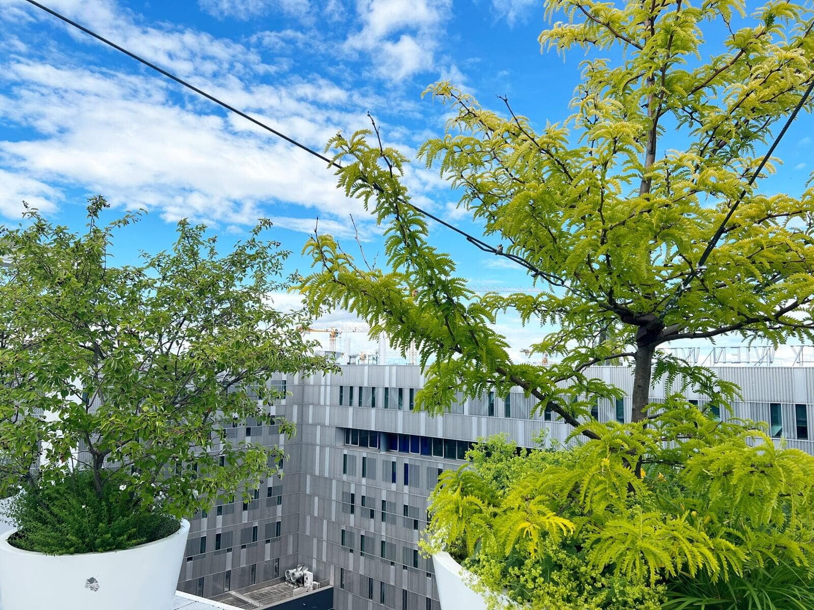 IKEA Westbahnhof Detail