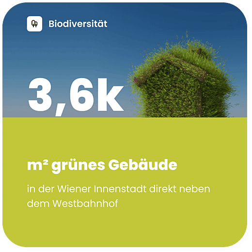m2 gruenes Gebaeude