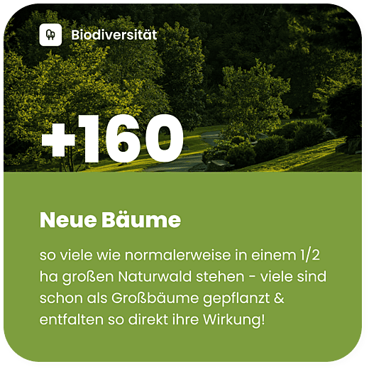 160 neue Baeume