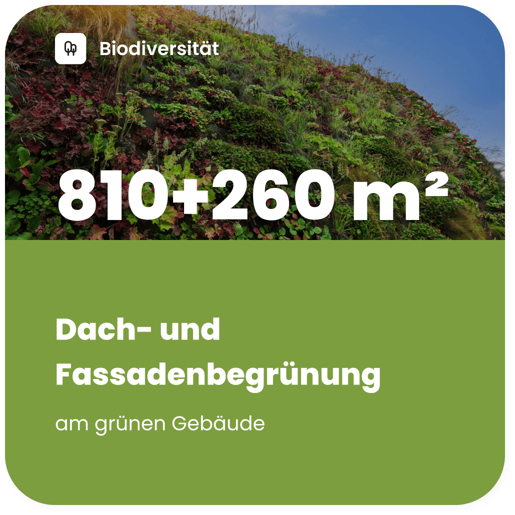 Dach- und Fassadenbegruenung