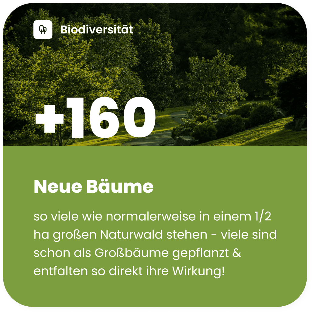 160 neue Baeume