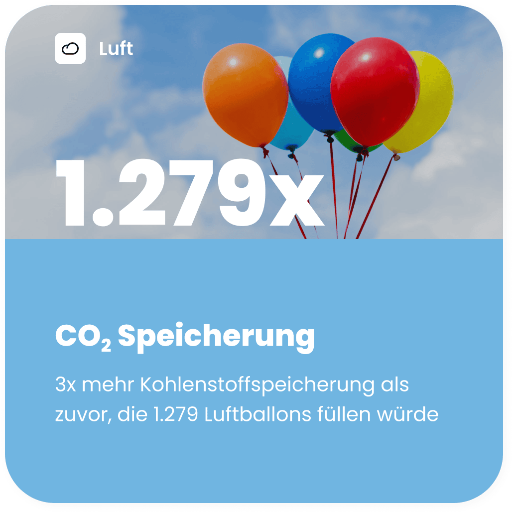 CO2 Speicherung