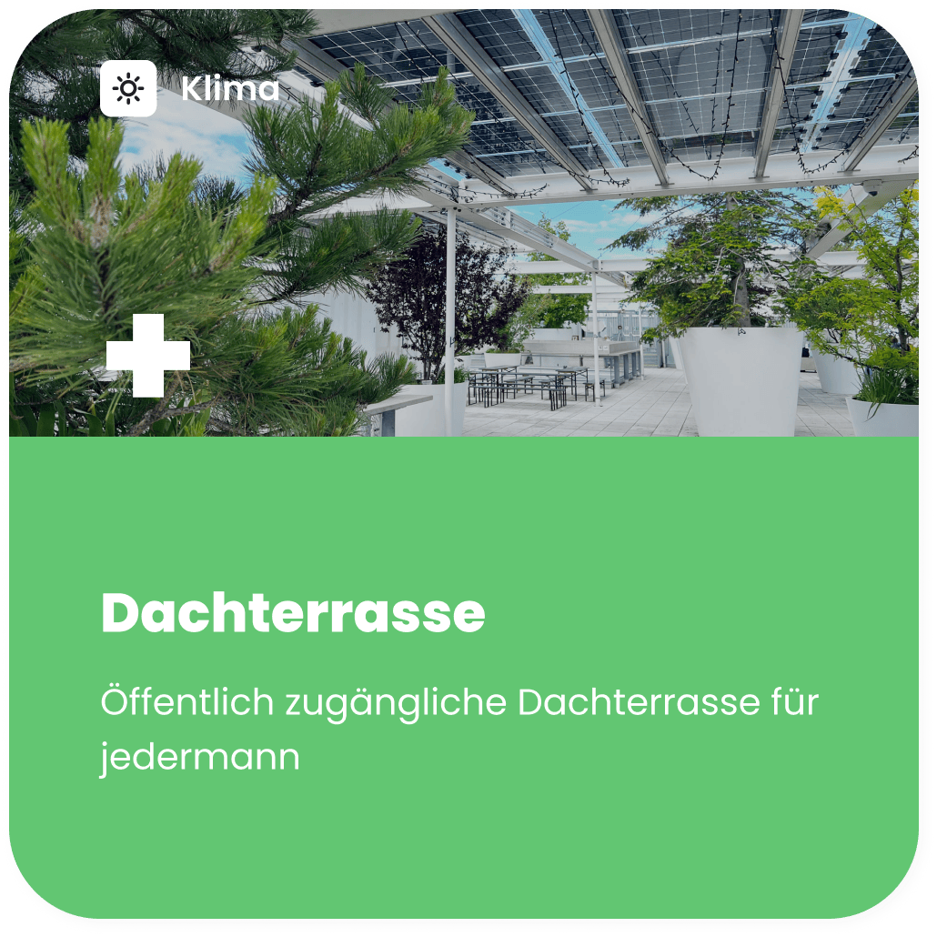 Dachterrasse